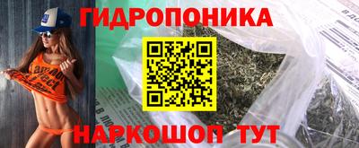 apvp Дубна