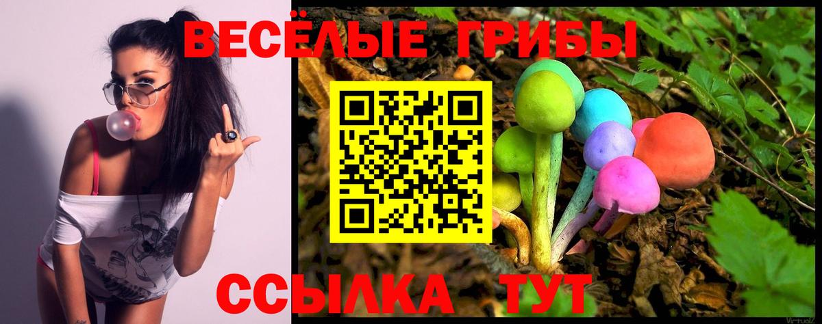 Галлюциногенные грибы MAGIC MUSHROOMS  Вход с VPN  Лосино-Петровский  Галлюциногенные грибы мухоморы 