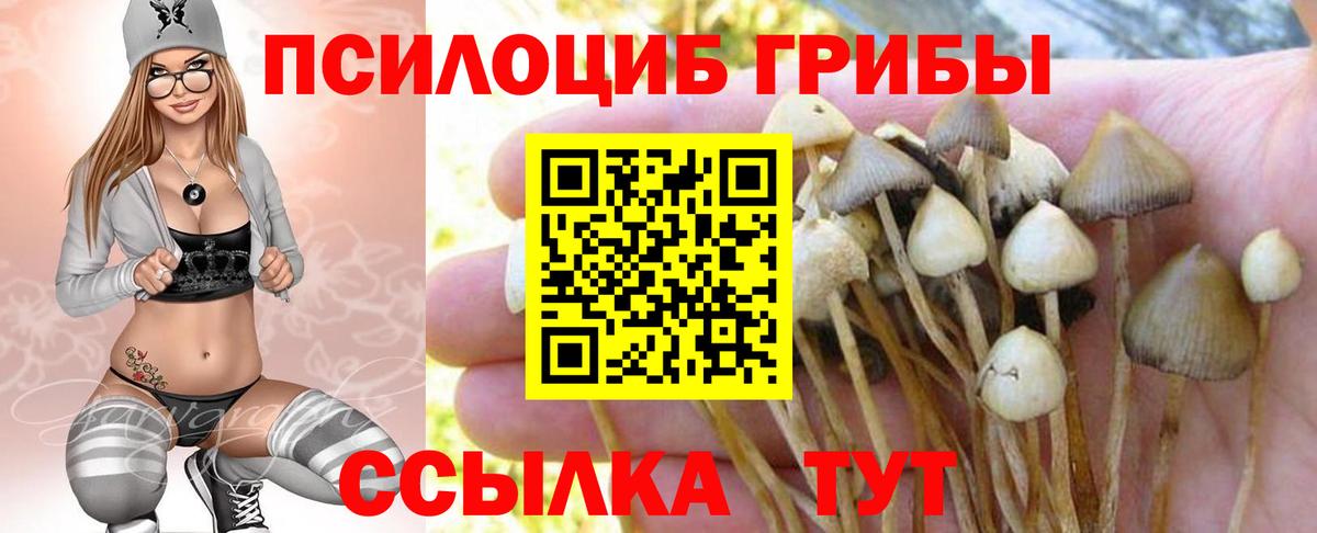 Псилоцибиновые грибы прущие грибы Лосино-Петровский